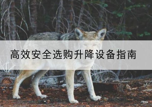 宜黄升降货梯厂家推荐-*安全选购升降设备指南