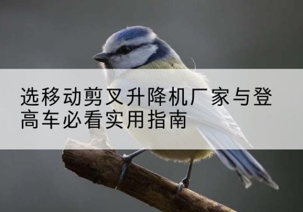 宜黄电动升降机厂家-选移动剪叉升降机厂家与登高车必看实用指南